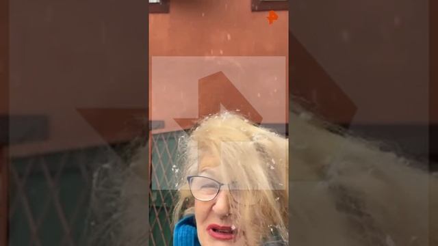 Дружинина Светлана