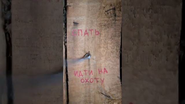 ОХОТНИЧИЙ ЖРЕБИЙ