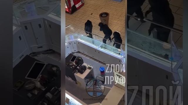 Неграм плевать, кто там победил на выборахСША. Они продолжают добывать драгоценные камни прямо в ТЦ