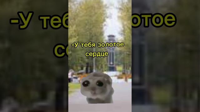 идея @Danya_rodnoy #мем #music #рекомендации #кот #cat #мемы #юмор #котики #memes #прикол #врек