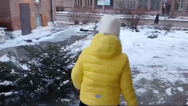 Находка кристаллов