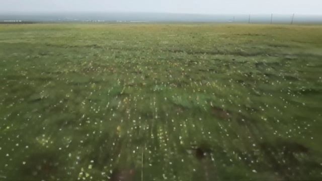 О. Федотко и В. Ростовцев - Последняя любовь
