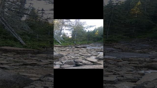 VID_20200625_195419