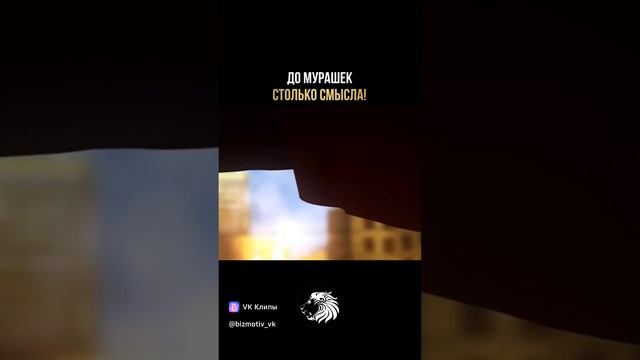 Семья