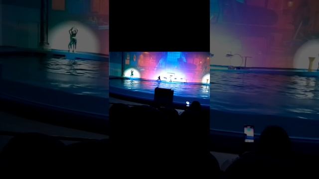 scene_output.mp4