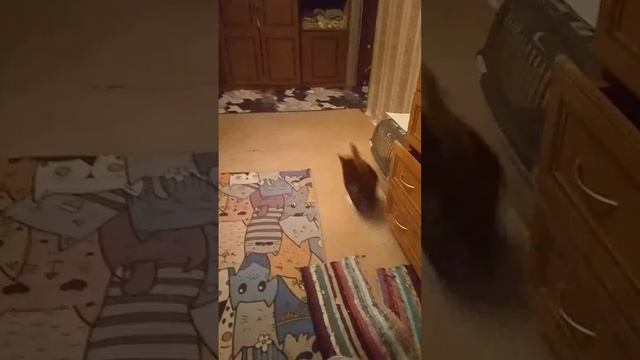 Степан и Марс