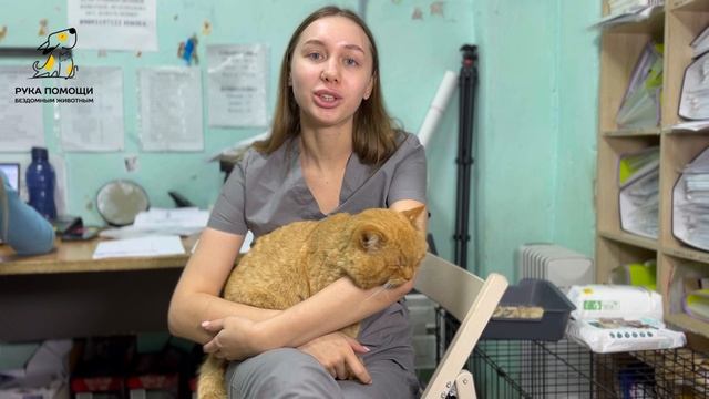 Просим любить и жаловать - Пивасик! Поддержать⬇️