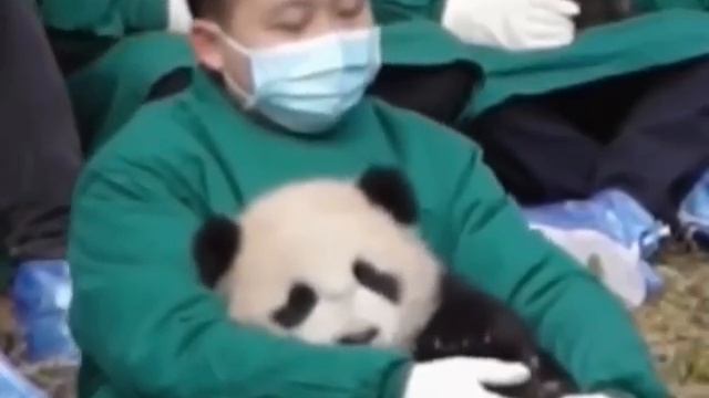 лучшая работа в мире :)