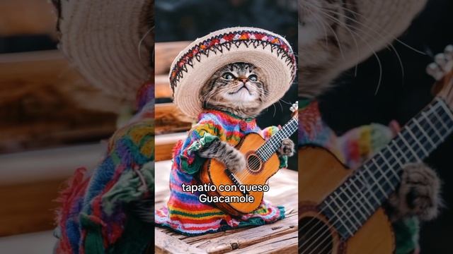 The Mexican cat #ai #cats #aicat #cat #catcute #cutecat