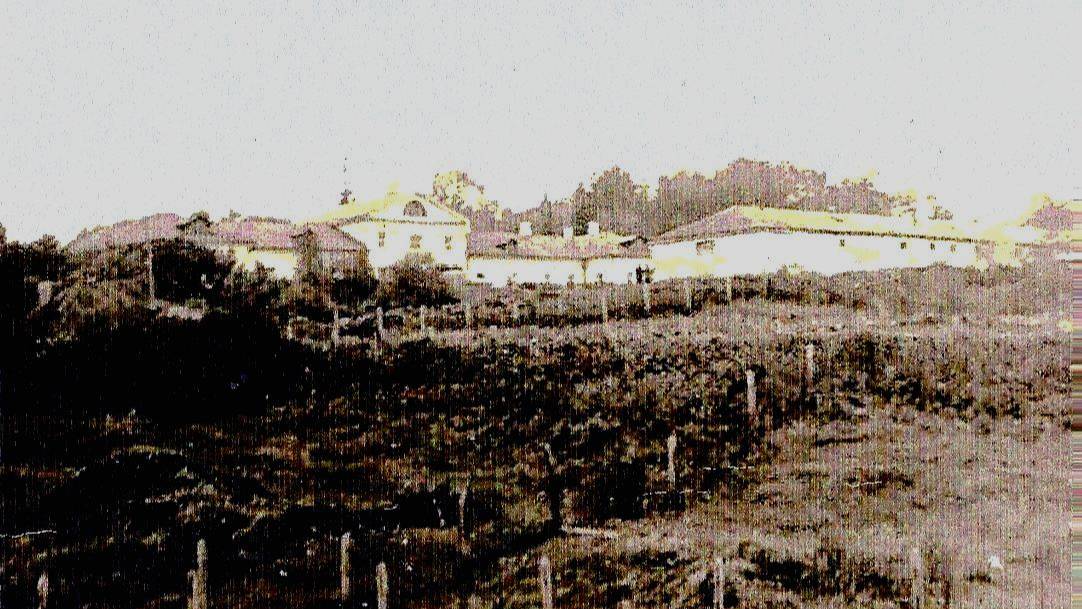 История одной фотографии