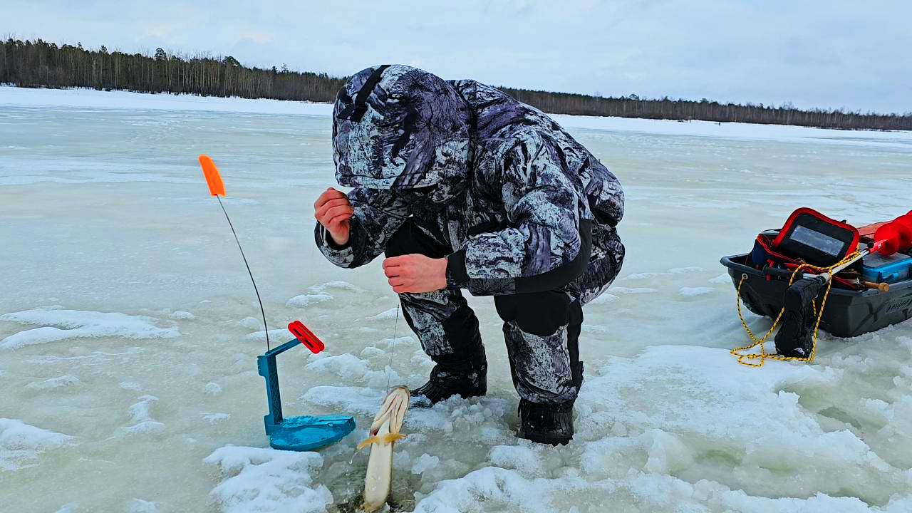 Промокли, но поймали зубастых. Рыбалка на зимнею жерлицу