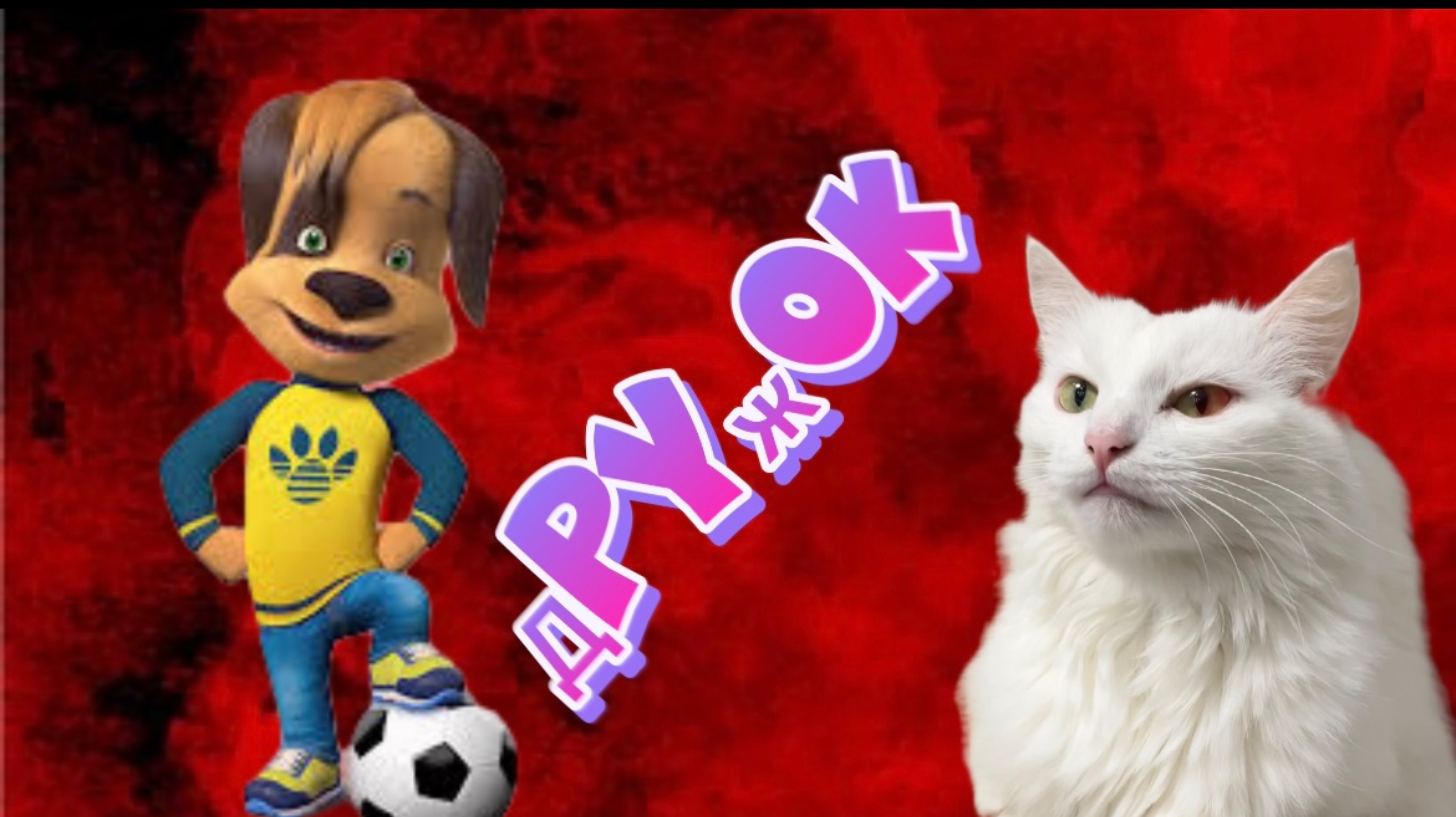 Поймала настоящего Дружка 🙀