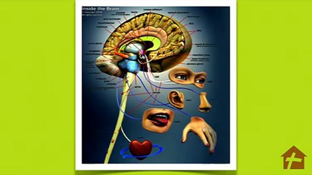 архив - семинар 4 - Кэролайн Лиф - как обновить мышление!