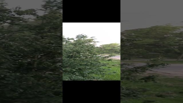 1000000272.mp4
