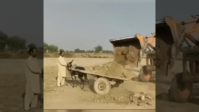 Перегрузили осла бедного(