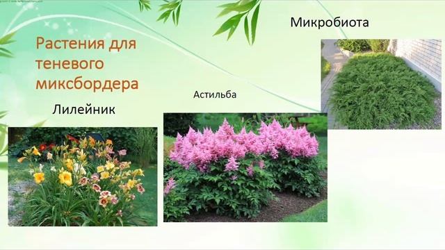 Лекция "Преимущества теневого миксбордера для организации пространства загородного участка"