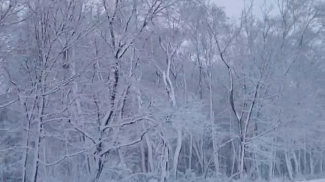 Ноябрь. Автотрасса М2 "Крым"