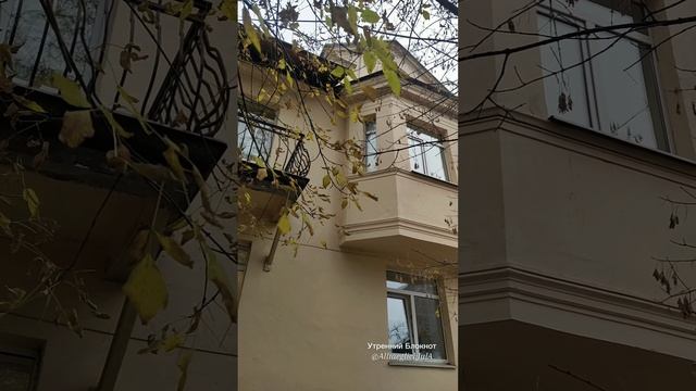 Мой утренний город | "Немецкие" дома в Измайлово (Москва, ноябрь 2024)