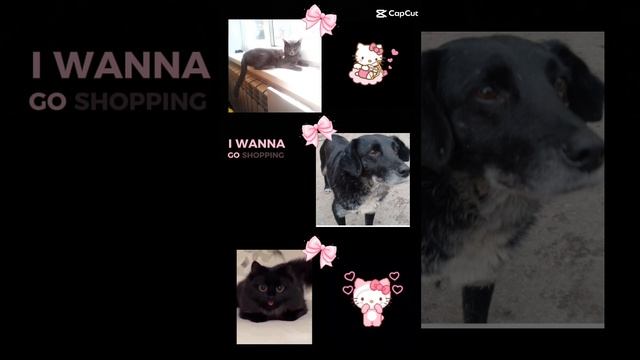 lv_7406101666216381752_20241123233708.mp4