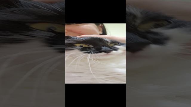 Как выглядит любовь.