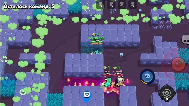 1000003102.mp4
