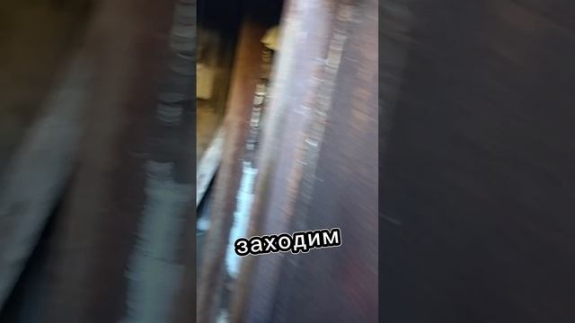 Покупаю гараж по наводке председателя #андрюха #гараж #купитьгараж #ремонтгаража