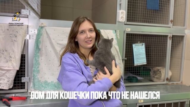 Наша новая жительница Орхидея! Поддержать⬇️