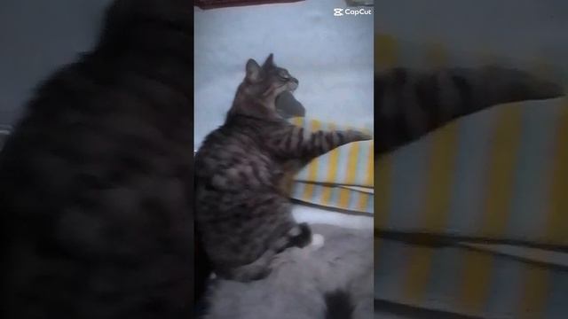 lv_7400337492223872312_20241123233419.mp4
