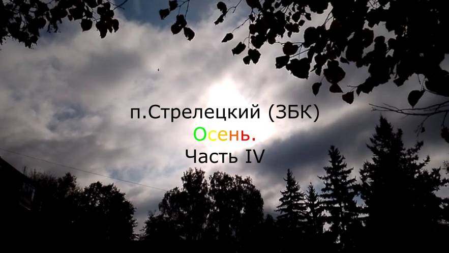 п.Стрелецкий (ЗБК) Осень. Часть IV