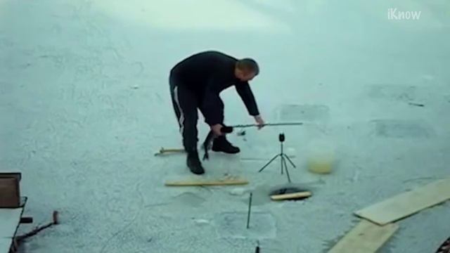 Если бы это НЕ СНЯЛИ на камеру, никто бы НЕ ПОВЕРИЛ!