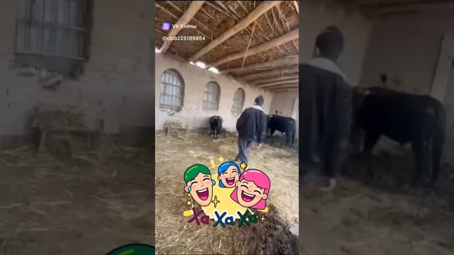 Такого он явно не ожидал