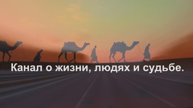 Дневник памяти...