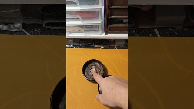 Shaman Soul от Fenomeno