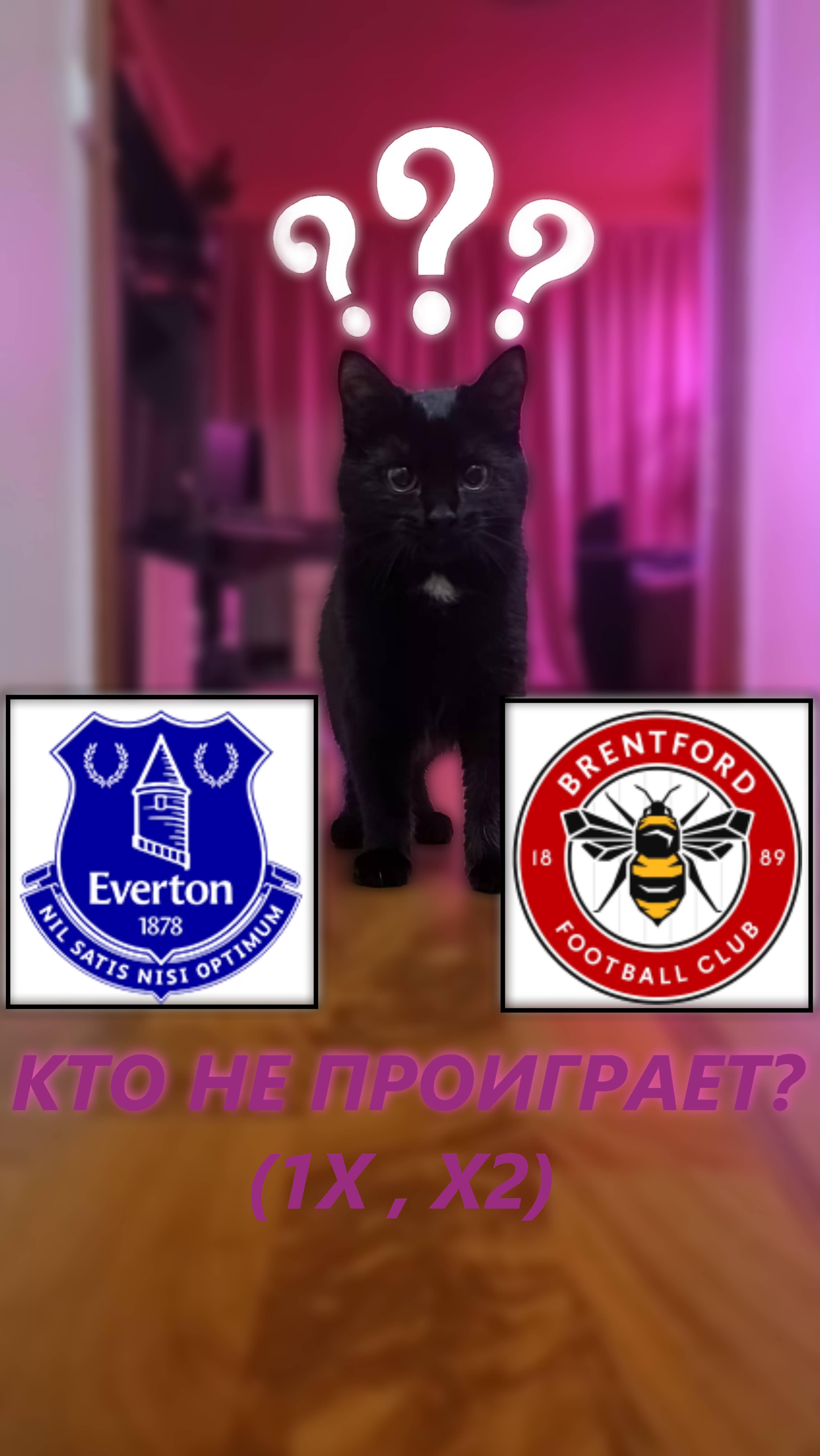 Прогноз на 12 тур АПЛ. Эвертон - Брентфорд.