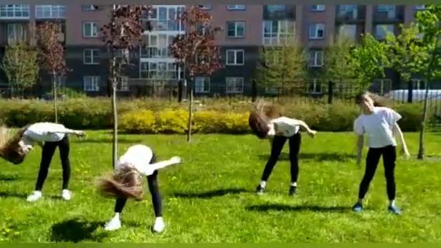 VID_20241123_225055_160.mp4