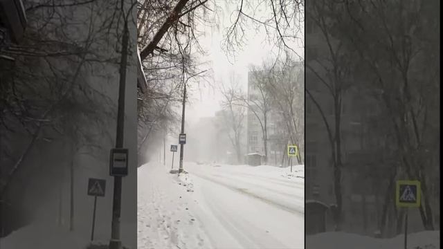 ❄️Cнегопад, начавшийся прошедшей ночью в Москве и области, может закончиться после 16:00❄️