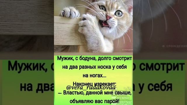 привет 😀