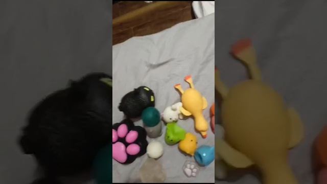 обзор на сквиши моей подруги 🥰