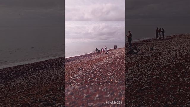 Адлер.mp4
