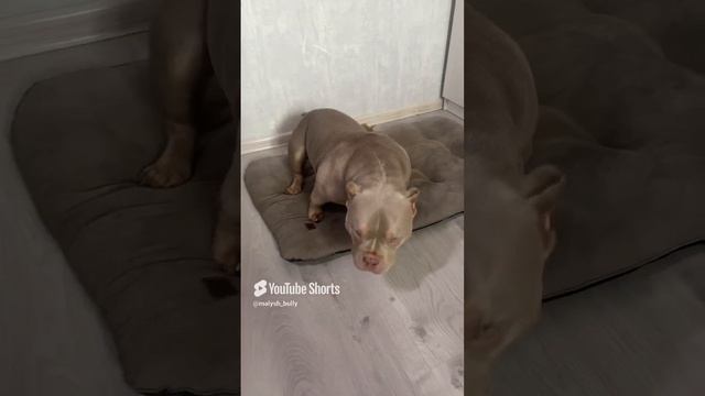 Без названия