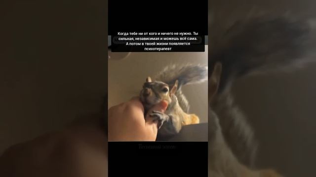так давно в этом нуждалась.mp4