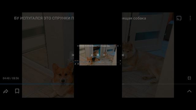 1000003662.mp4