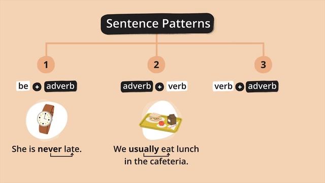 Adverbs of Frequency – English Grammar Lessons