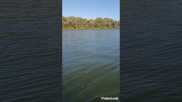 р. Дон