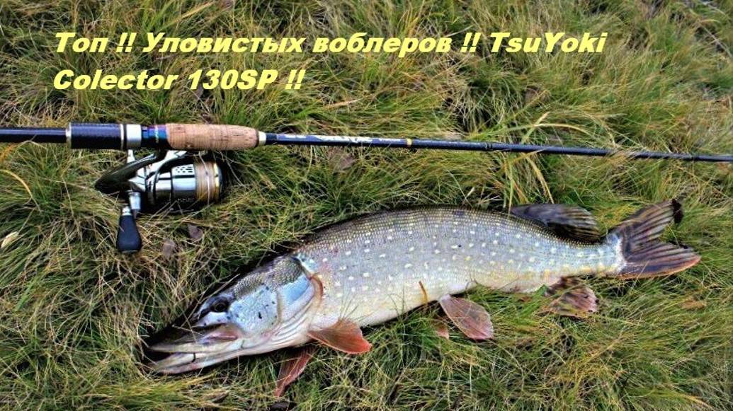 Топ !! Уловистых воблеров !! TsuYoki Colector 130SP !!