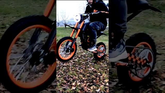 Электропитбайк Kugoo Wish 01