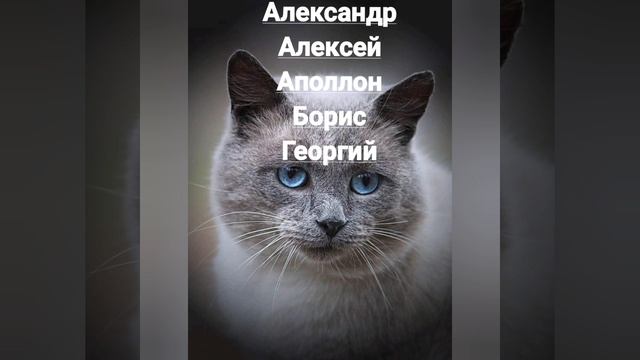 Именины 23 ноября