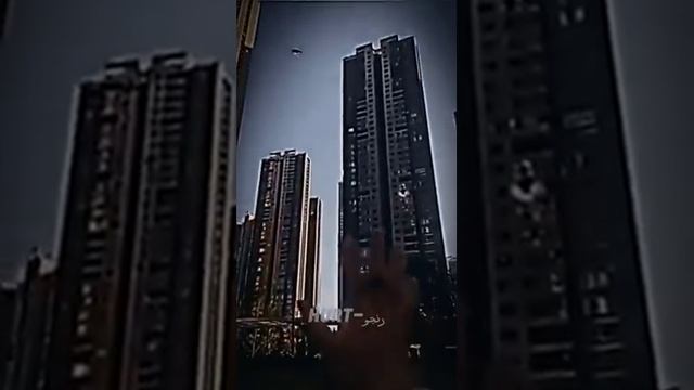как говорится пока белка