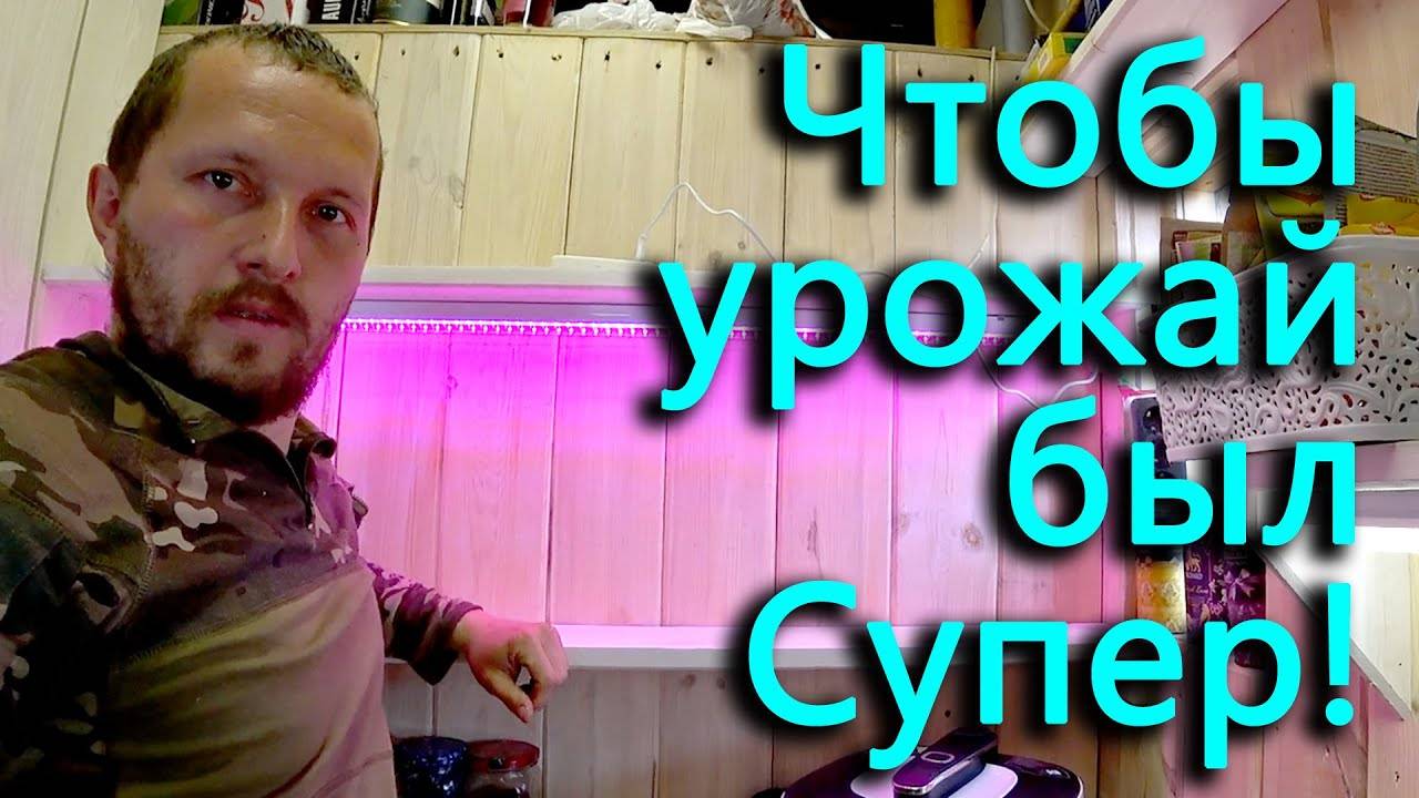 Теперь наша деревня будет главным экспортером помидоров. Насосная станция снова дурит.