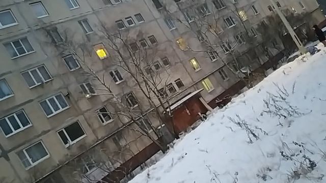 VID_20241123_164014.mp4